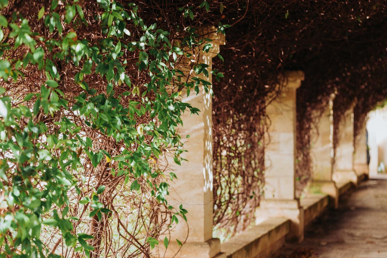 Masseria Ancella Montalbano  Ngoại thất bức ảnh